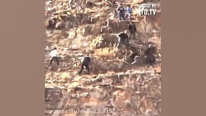 مستندي زيبا از شكار وحمله عقاب...