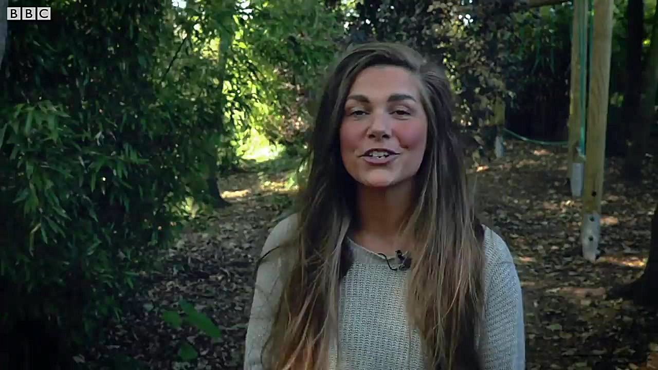 دنیای حیوانات  سمورها یک سنگ م...