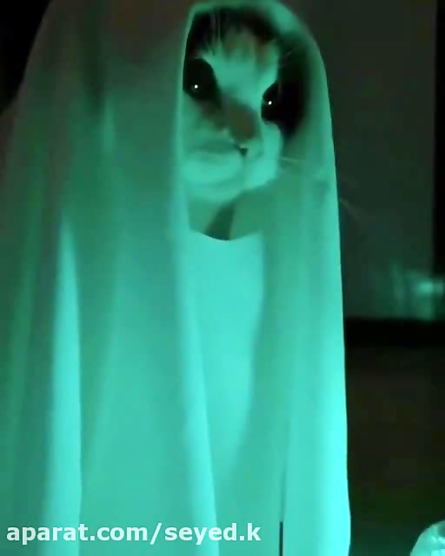 روح سرگردان.طنز