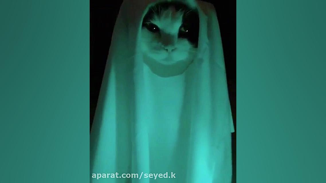 روح سرگردان.طنز