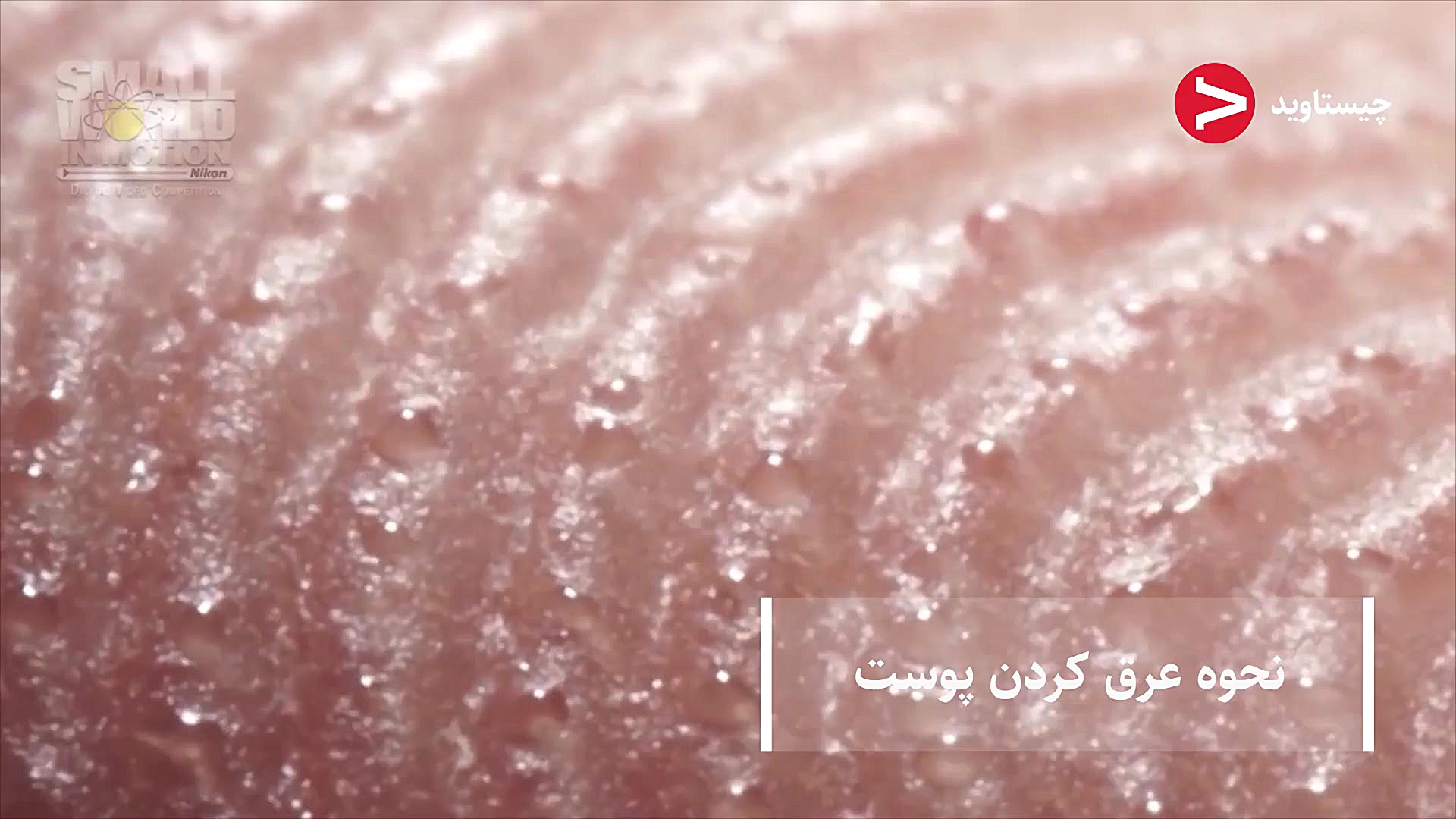 کف دست چطور عرق میکنه و....