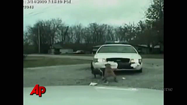 حمله حیوانات وحشی به انسان