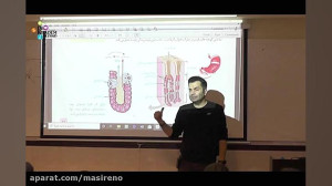 تدریس سبک کنکوری فصل 2 دهم  چا...