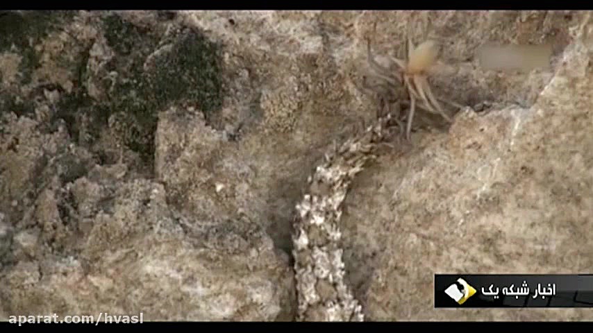 دریاچه ای زیبا و عجیب در دل کو...