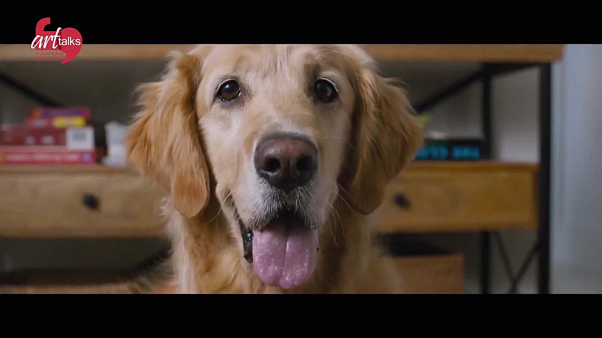 جدیدترین تریلر Sonic the Hedge...