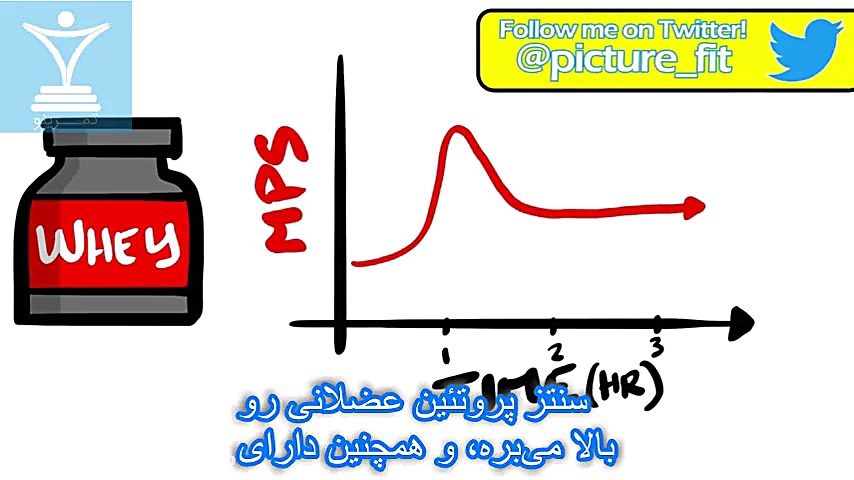 سه مکمل بدنسازی که ارزش پول‌تا...