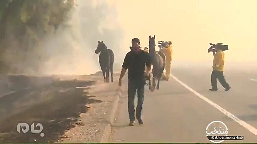 رفتار عاشقانه یک اسب در آتش سو...