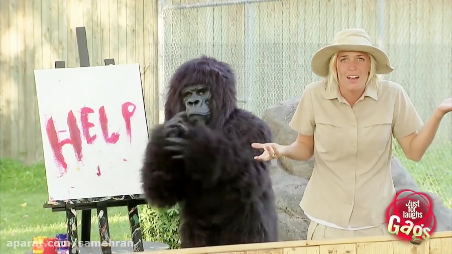 دوربین مخفی گوریل نقاش