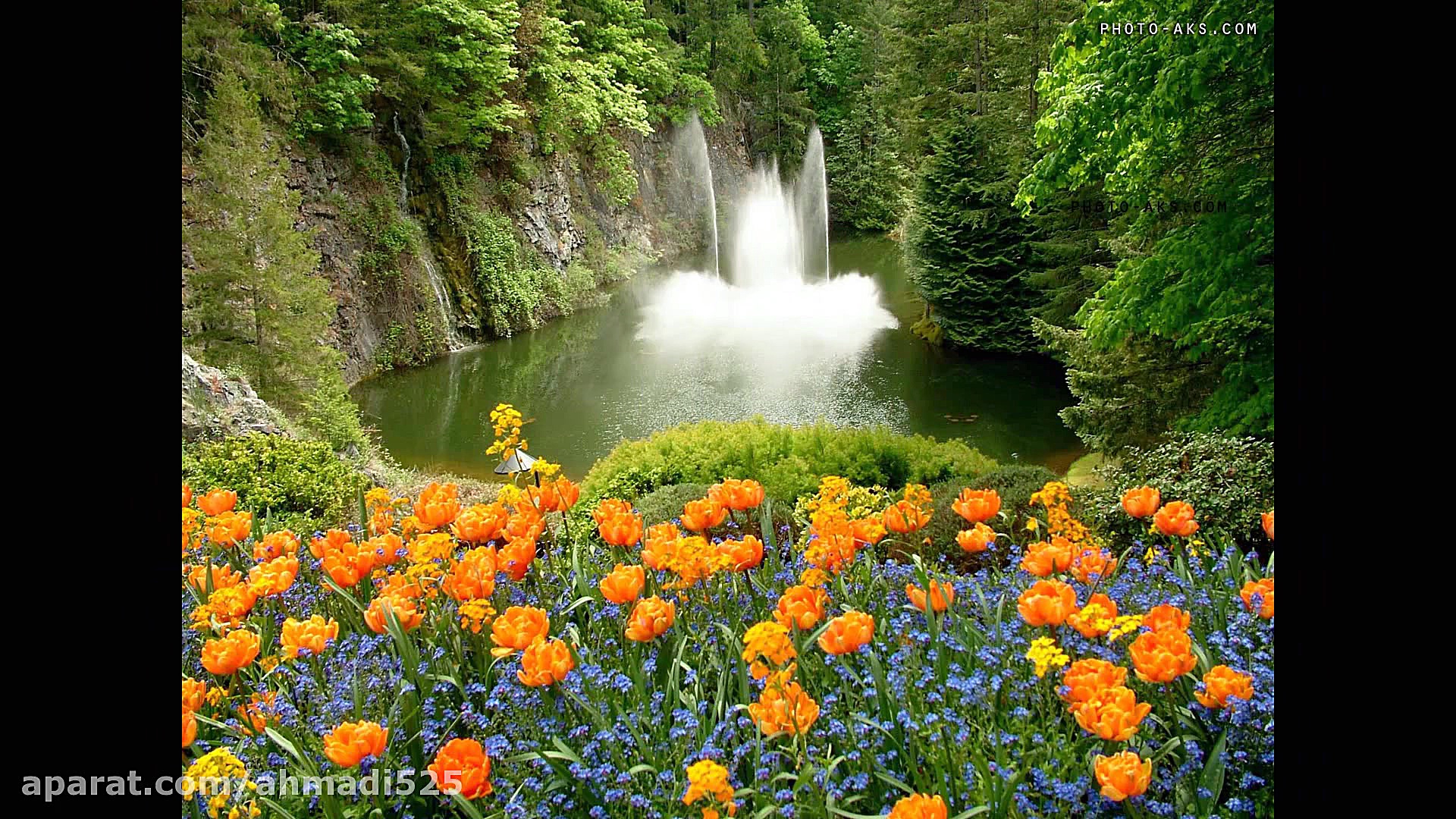 موسیقی محلی کردی بی کلام