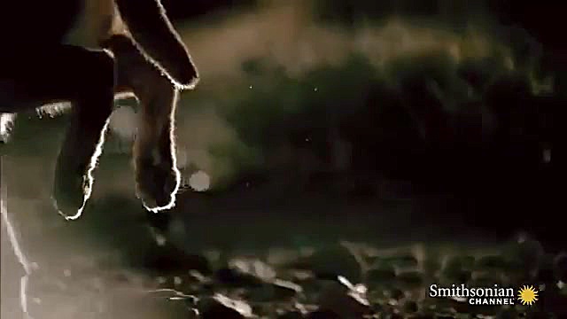 لحظاتی بسیار جذاب و مهیج از صح...