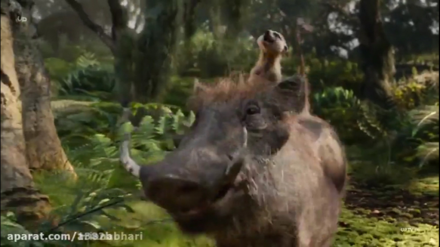 آهنگ شاد فیلم شیرشاه ۲۰۱۹ زیرن...