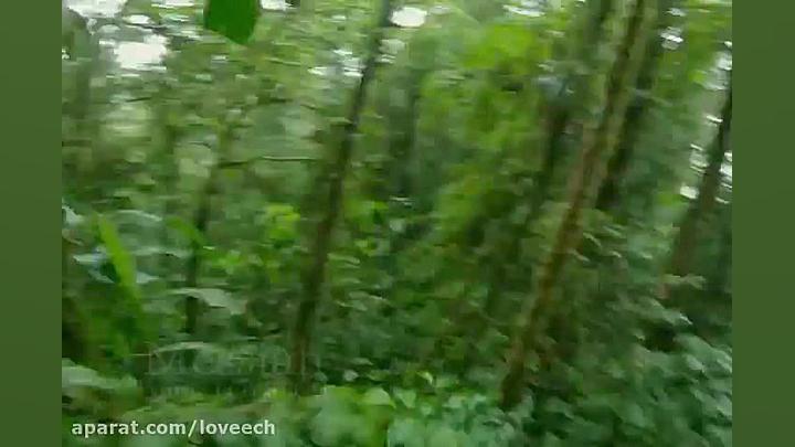 موزیک ویدیو آرامش بخش مسیحا