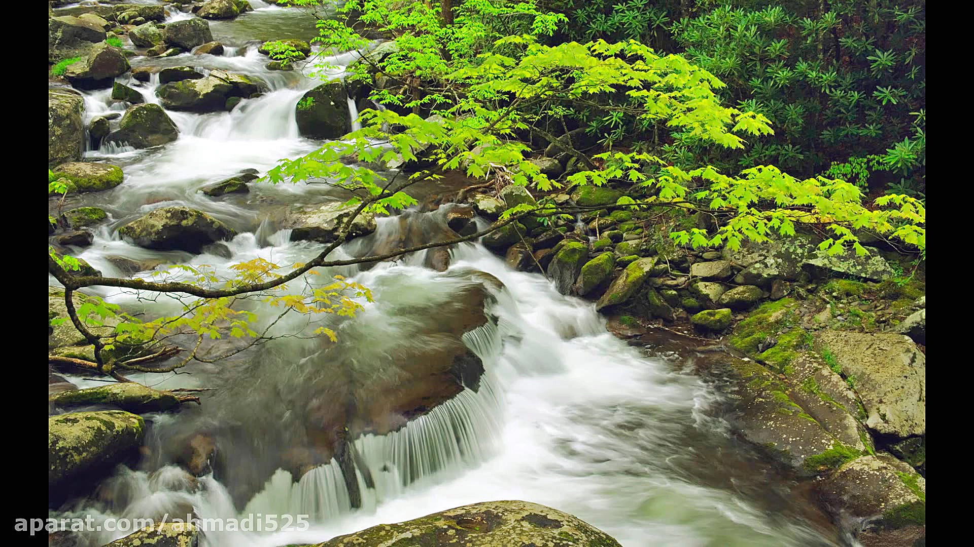 غزل حافظ من نه آن رندم...نی نو...
