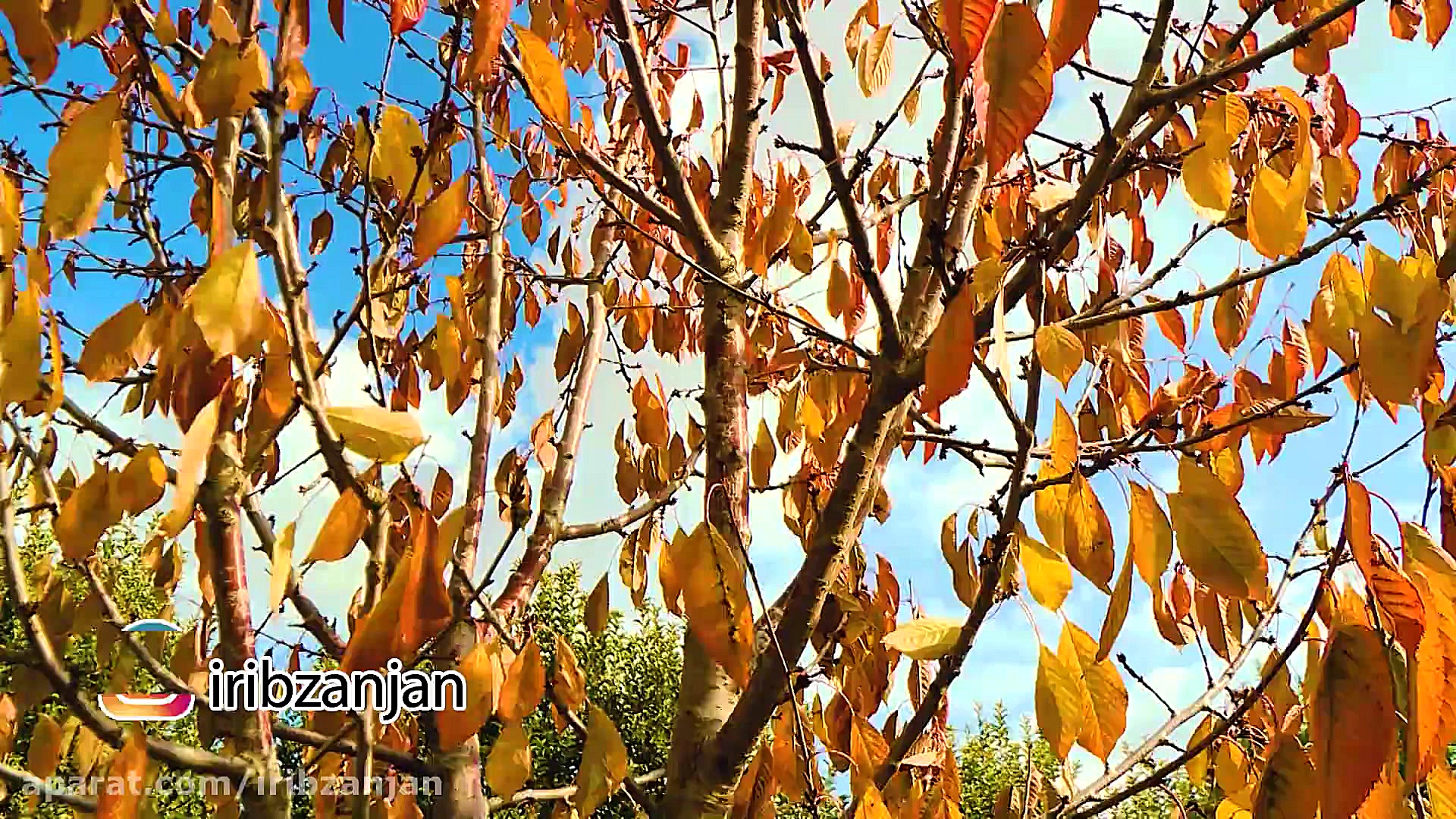 نماهنگ پاییز زنجان