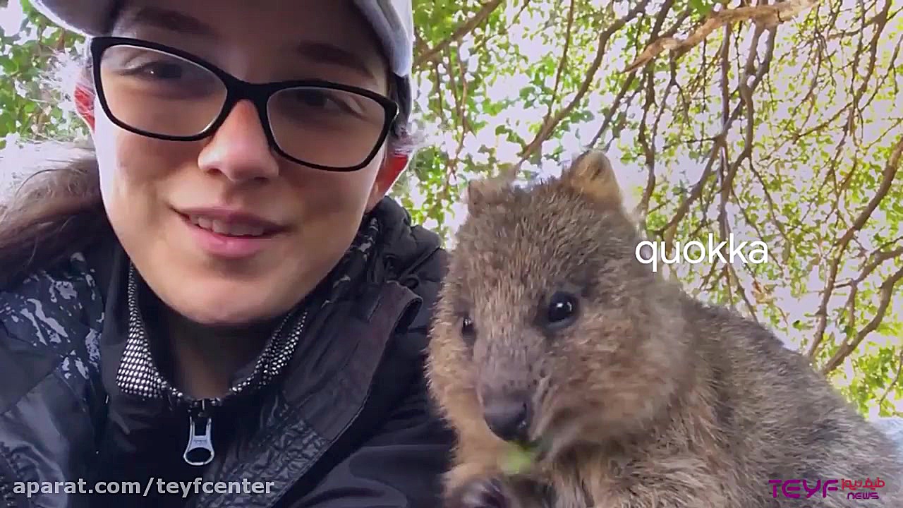 گوگل قابلیت جدید Google Pronou...