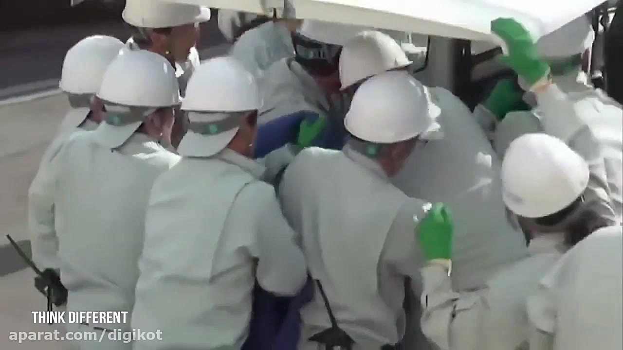 تلاش برای نجات شامپانزه از تیر...