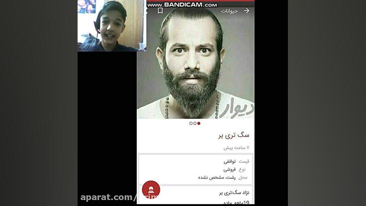 آگهی های طنز دیوار قسمت دوم