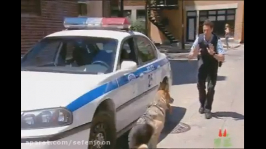 دوربین مخفی سگ پلیس