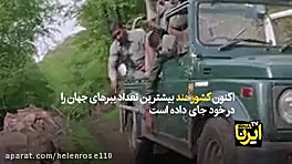 هر آنچه كه بايد درباره ببرهاى...