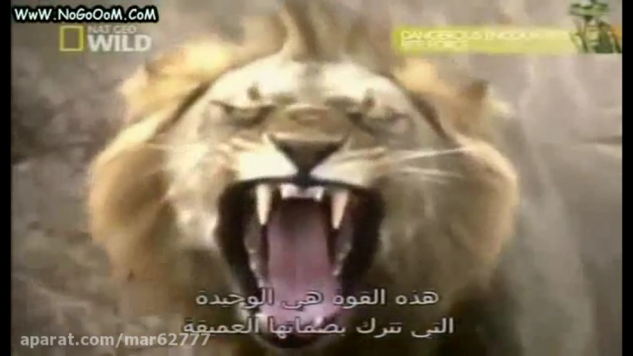 مستند قدرت آرواره درندگان