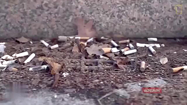 ته سیگار؛بلایی بزرگ،حتما نگاه...