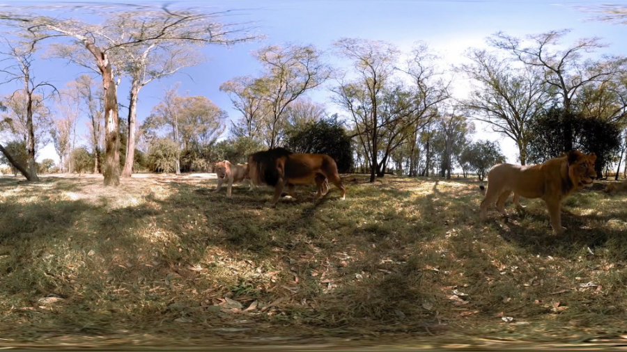 VR VIDEO فیلم واقعیت مجازی