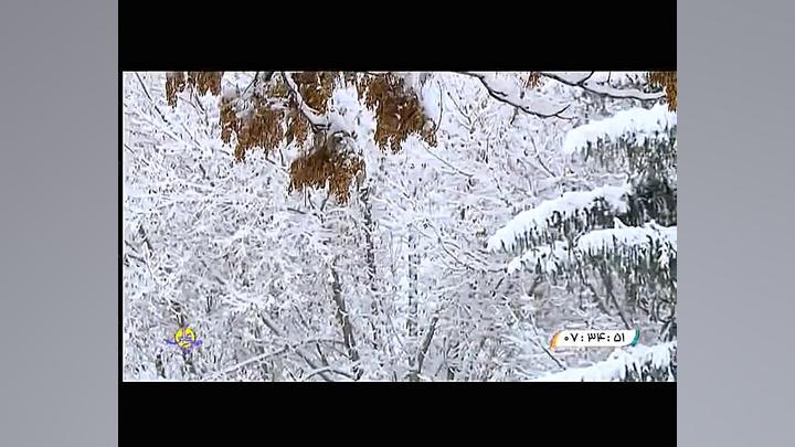 موسیقی تصویر زیبا و جذاب &quot...