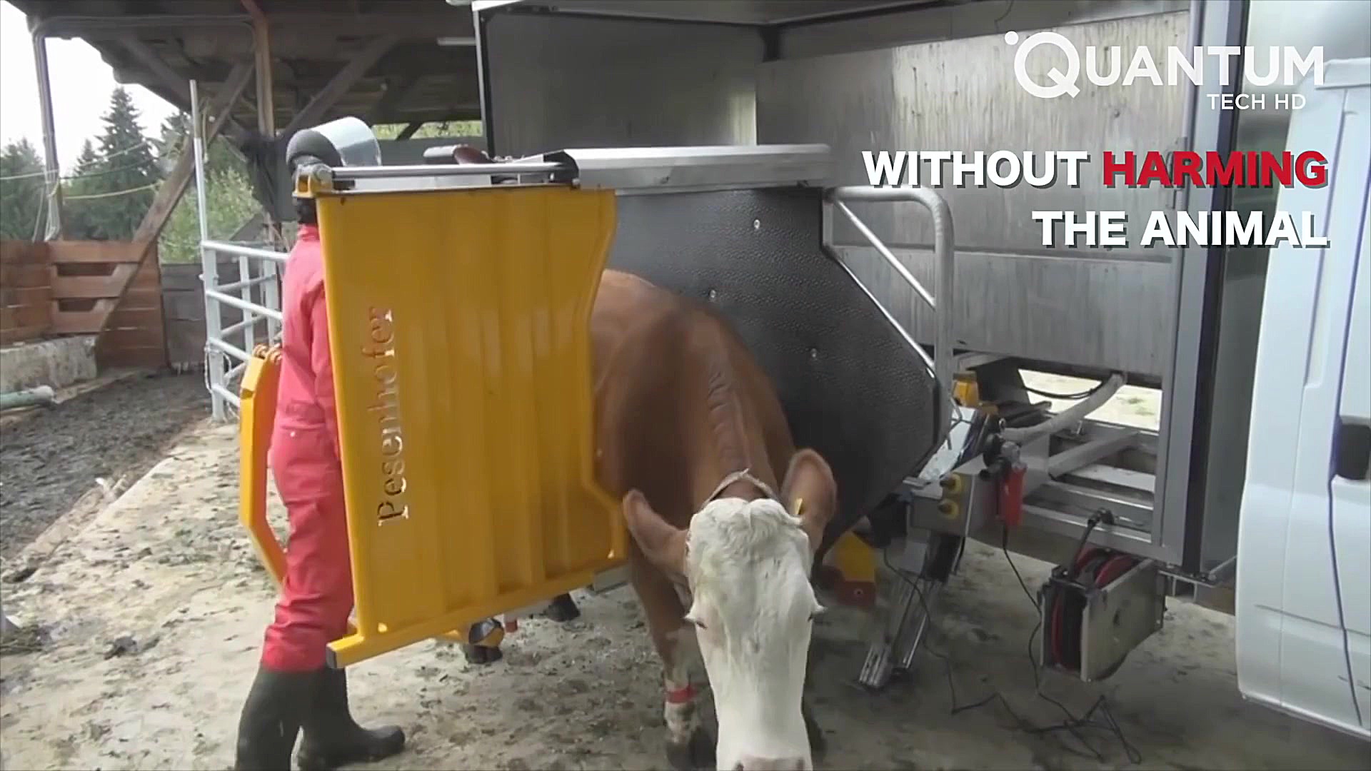 اگر اینطوری باشه من آرزو دارم...