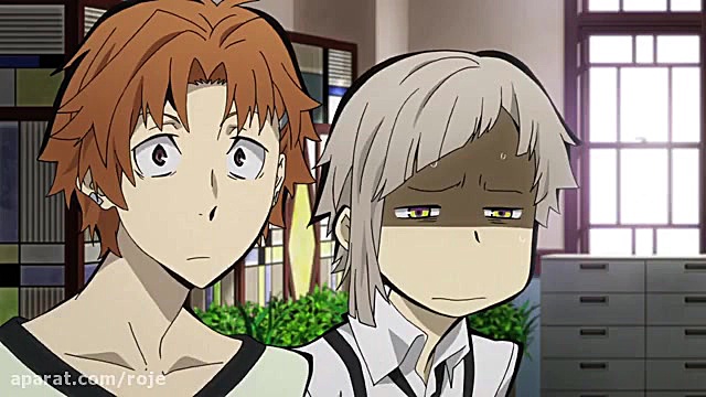 سگ های ولگرد بانگو