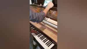 کوک پیانو مشهد