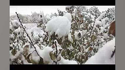 موسیقی تصویر بسیار زیبای برف