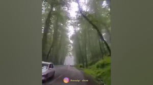آهنگ سیاوش قمیشی
