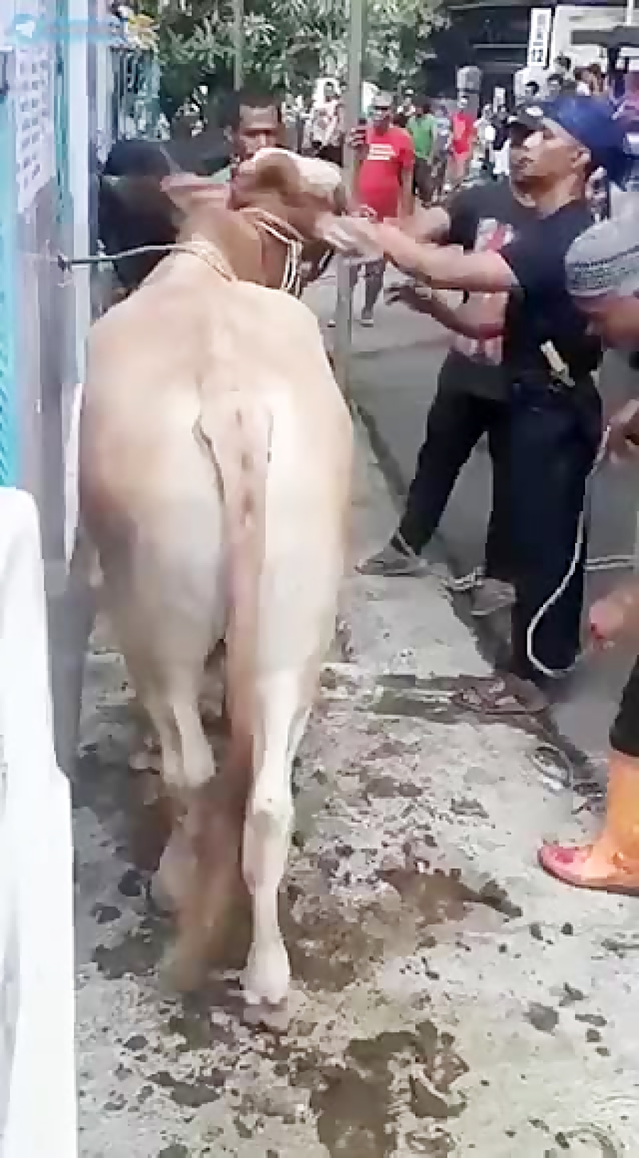 نگفتم مراقب باش