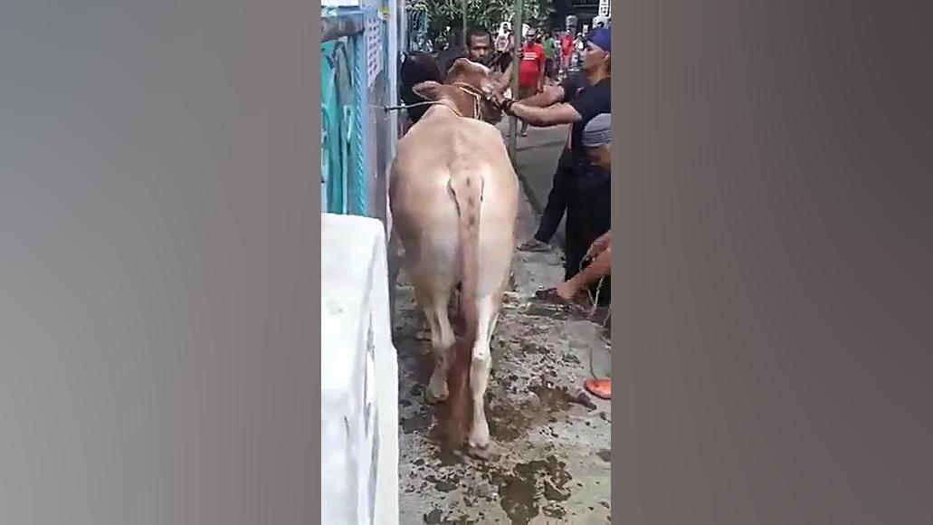 نگفتم مراقب باش