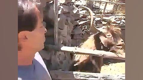 اینترنت وصل شد؟