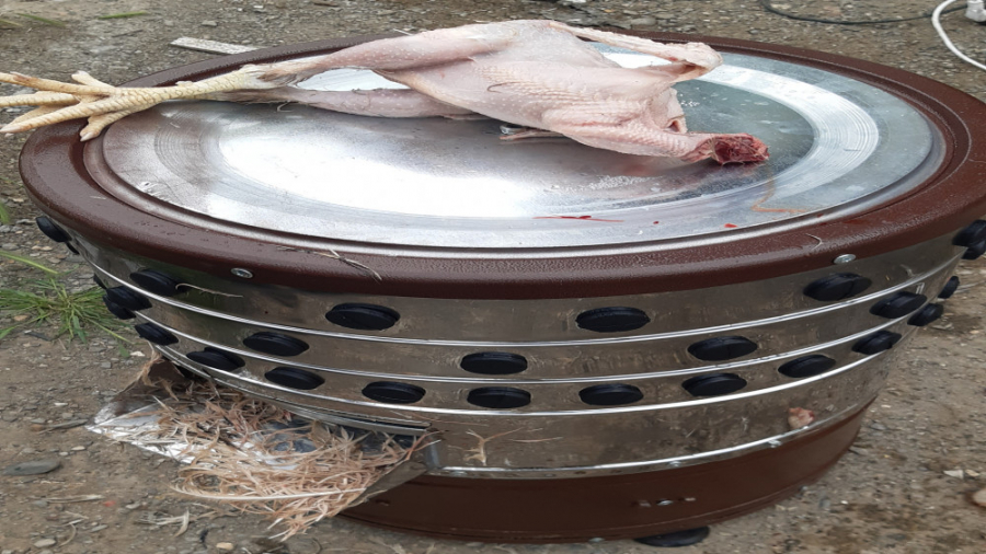 دستگاه پرکن مرغ . مرغ پرکن است...