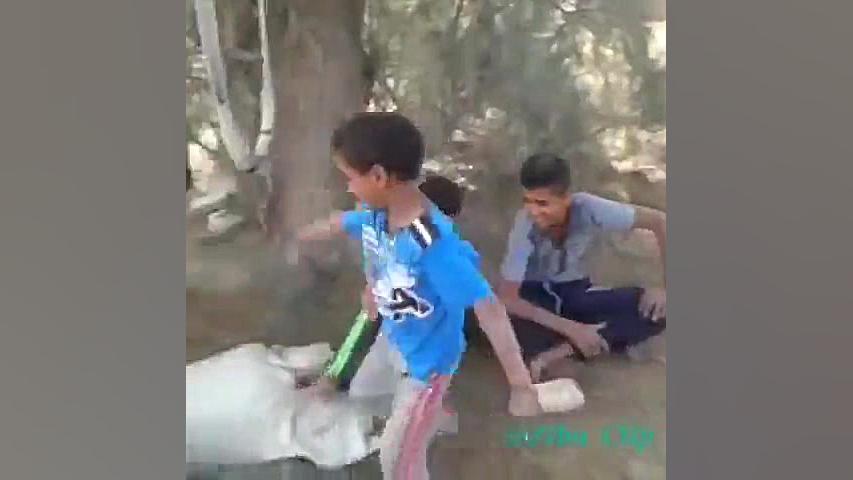 بروسلی وارد میشود