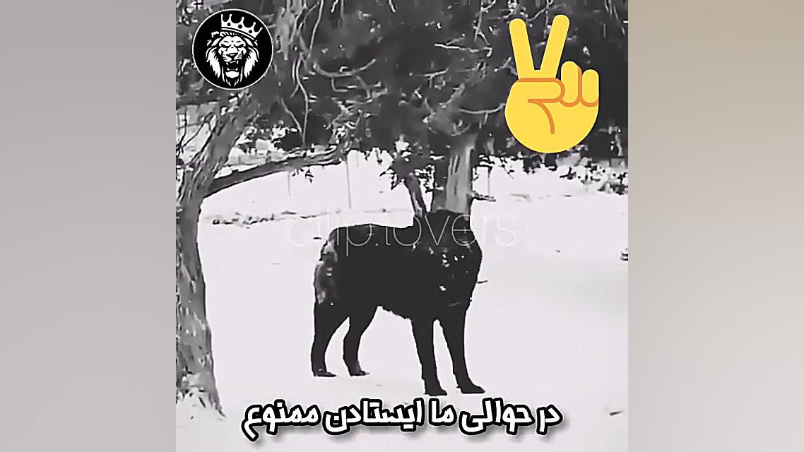 حوالی ما ایستادن ممنوع&Pi;&Pi;...