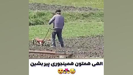 بعد از وصل اینترنت