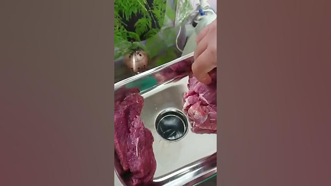 چرخ گوشت با کیفیت Fakir