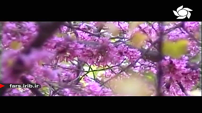 ترانه بسیار زیبا و شنیدنی شیرا...