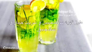 نحوه درست کردن شربت سکنجبین