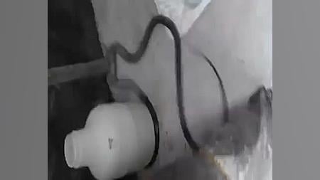 فیلم خوردن مار توسط مار دیگر د...