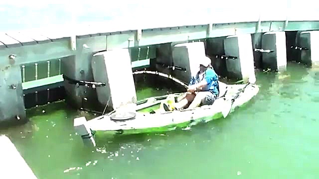 شکار ماهی غول پیکر