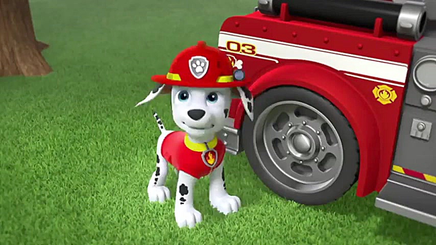 کارتون سگ های نگهبان سگ های نگ...