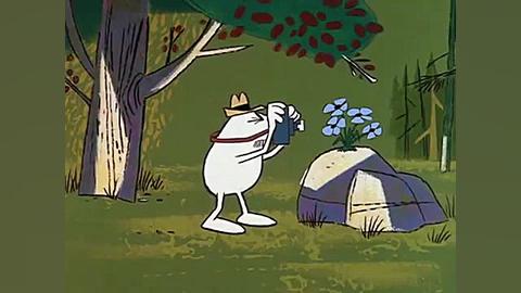 پلنگ صورتی  20