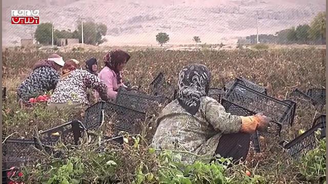 به اندازه مصرف خرید کنیم