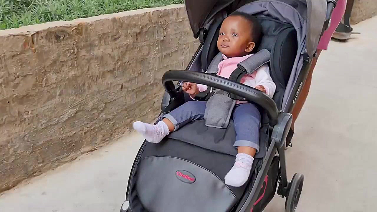 ست کالسکه و کریر مسافرتی برند...