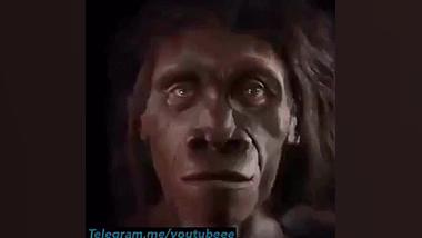 تکامل انسان