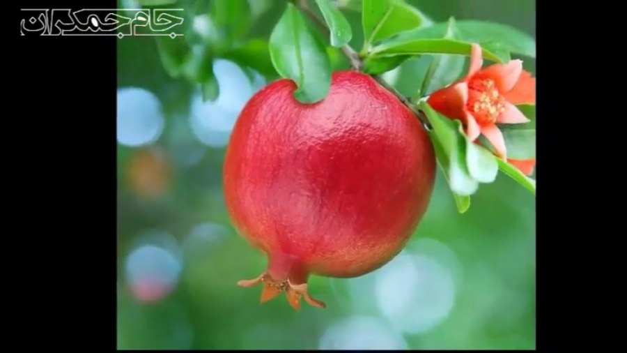 کلیپ کوتاه عاشقانه درباره خدا...